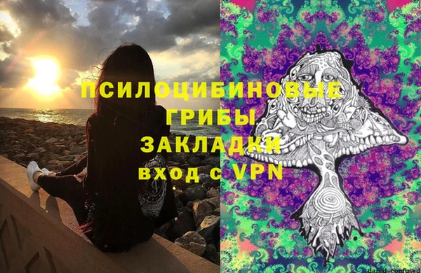 прущая мука Армянск
