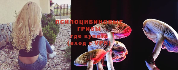 мяу мяу кристалл Арсеньев