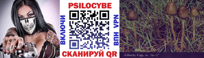 сколько стоит Усть-Джегута Псилоцибиновые грибы мухоморы